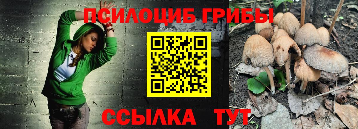 Галлюциногенные грибы мицелий Набережные Челны