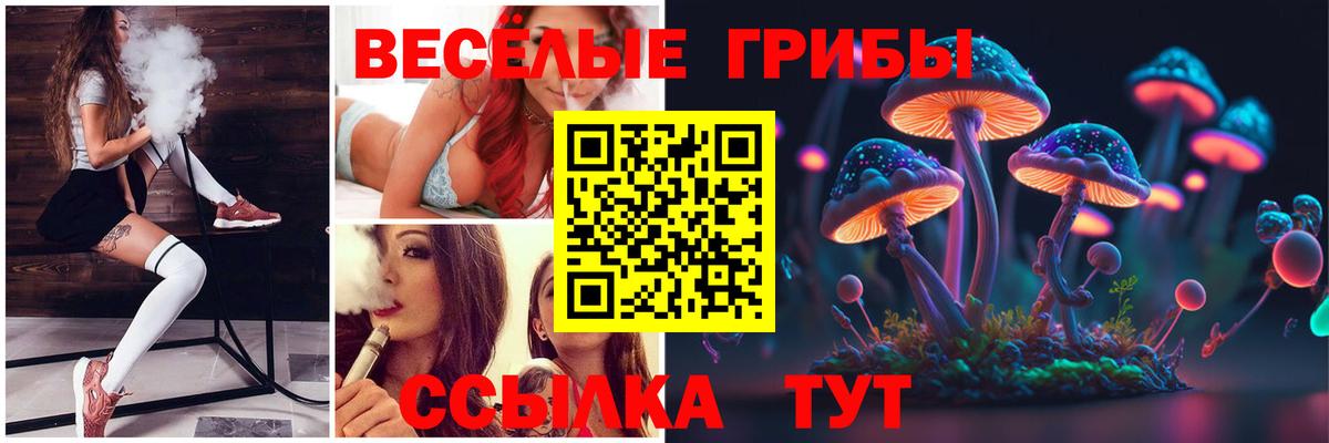 Галлюциногенные грибы Cubensis  Вход с VPN  Набережные Челны 